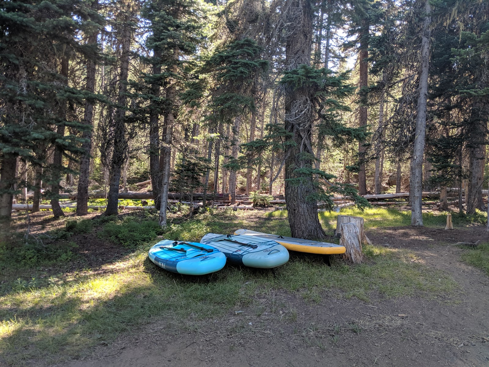Point Campground