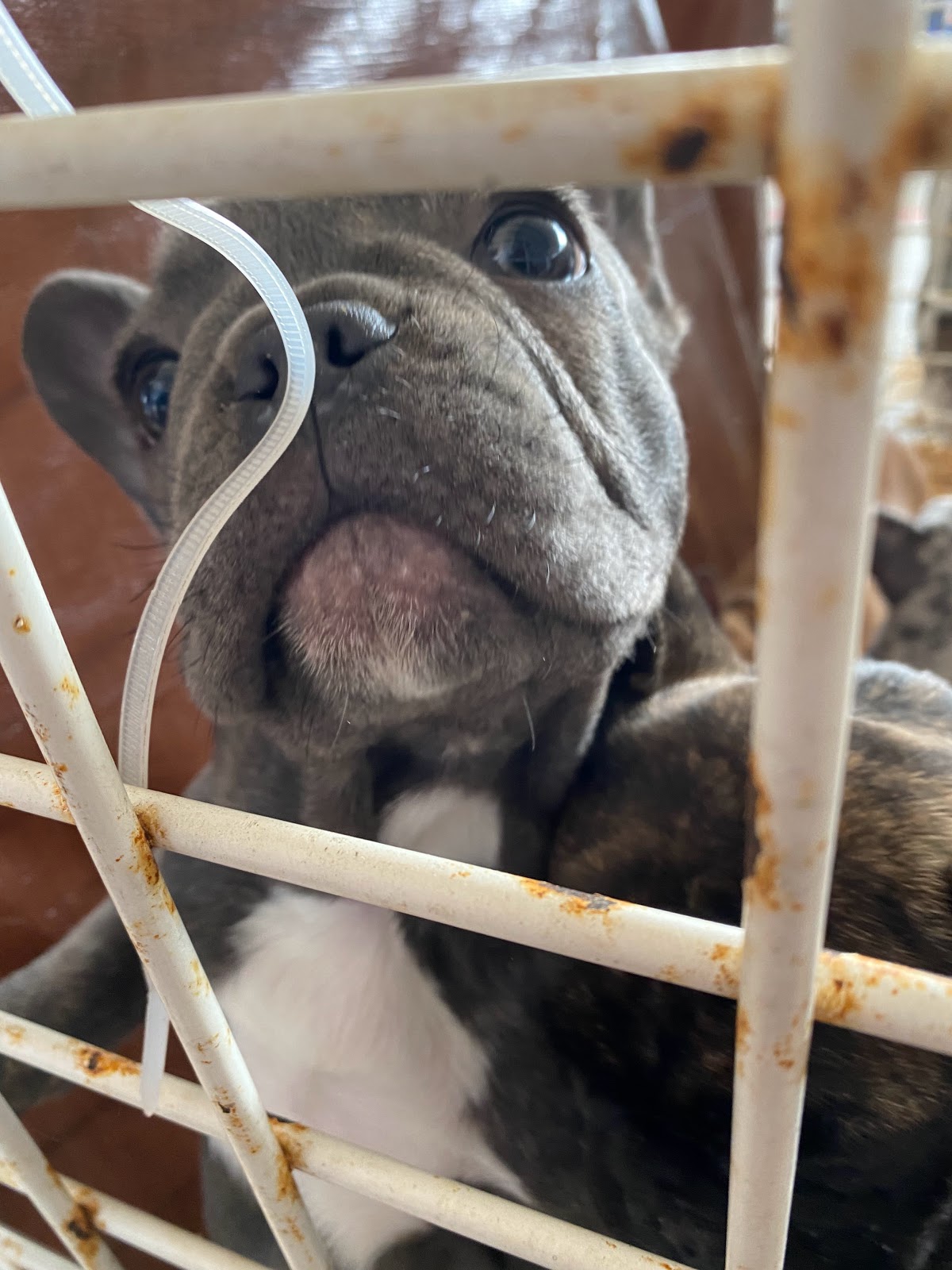 Currys Trade Grounds and RV Park