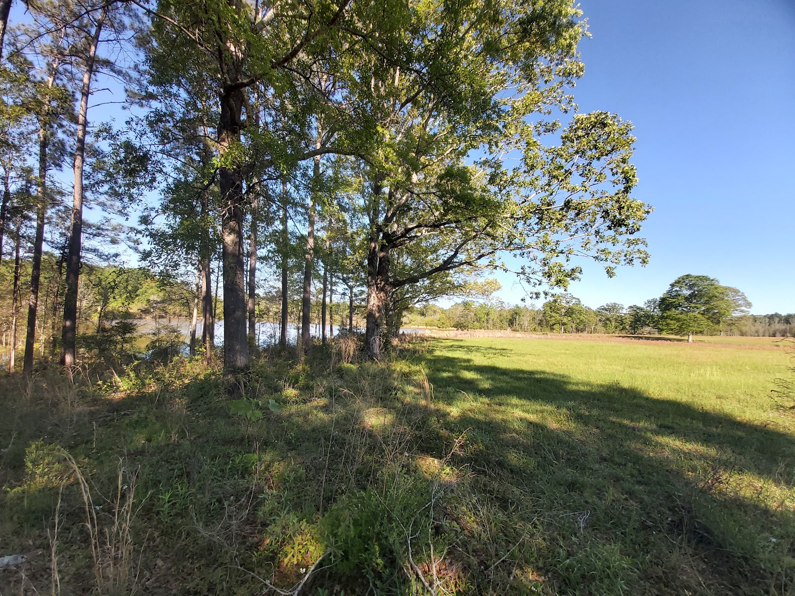 Haas-Cienda Ranch RV Park