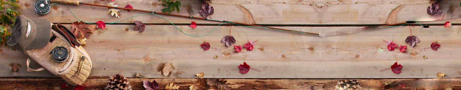 Collins Lake Recreation Area