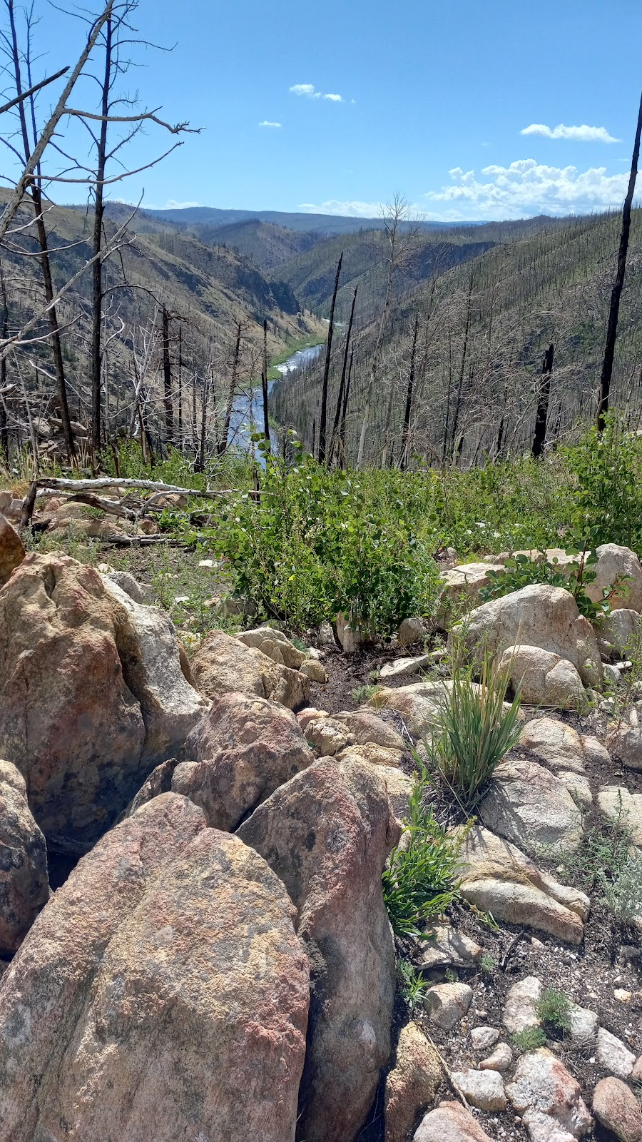 Six Mile Gap Campground