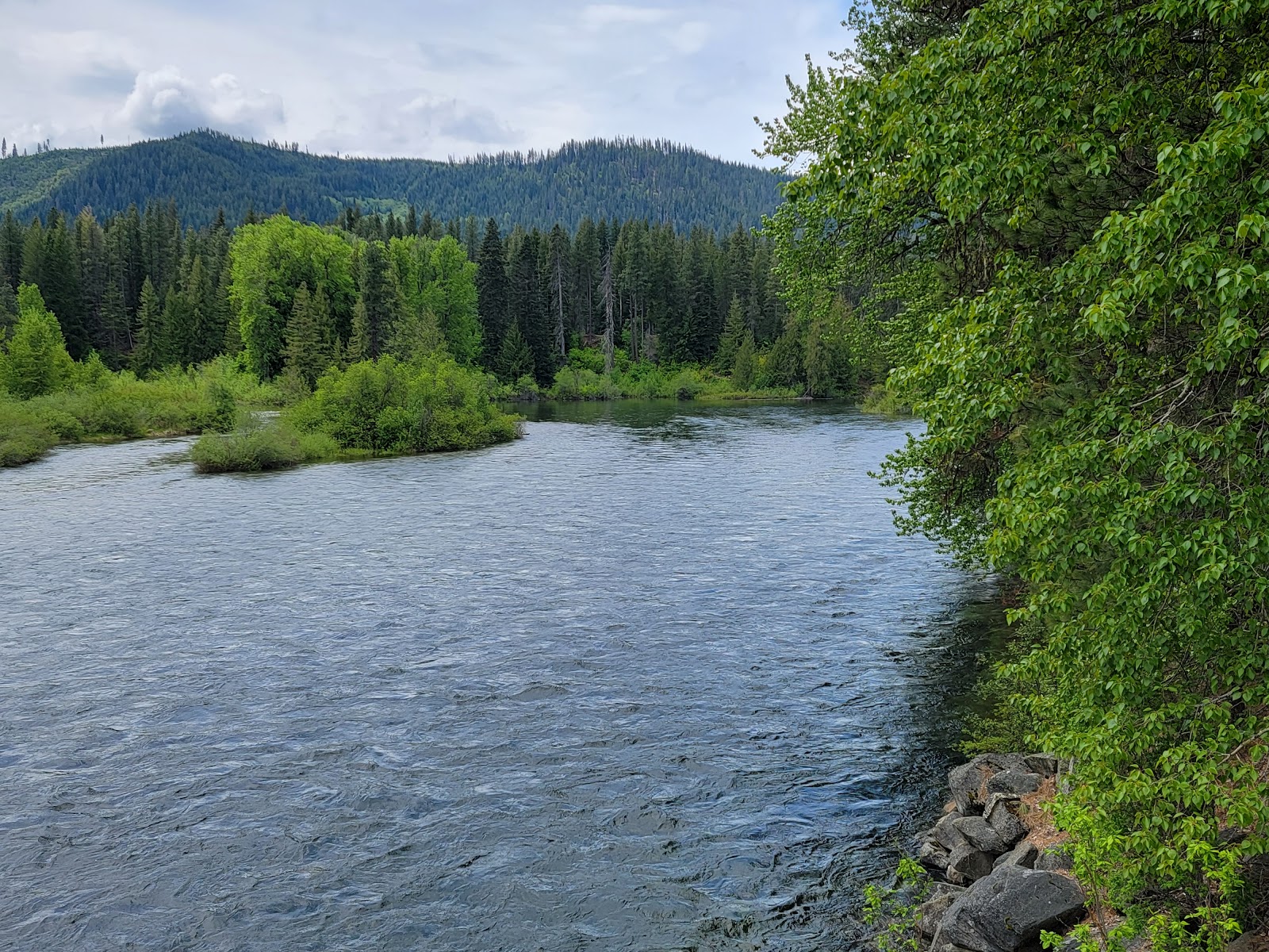 Finner Creek Campground