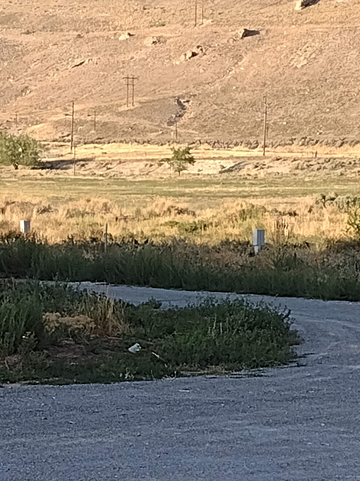 Lake Point Mobile Home and RV Park