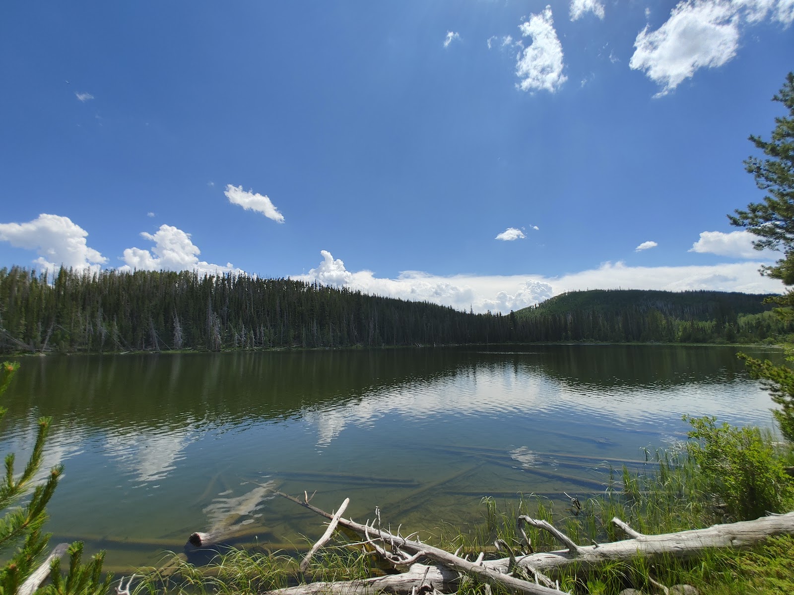 Teal Lake Campground