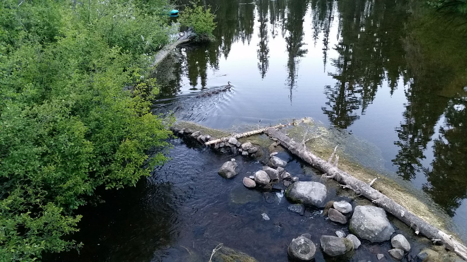 Gold Lake Campground