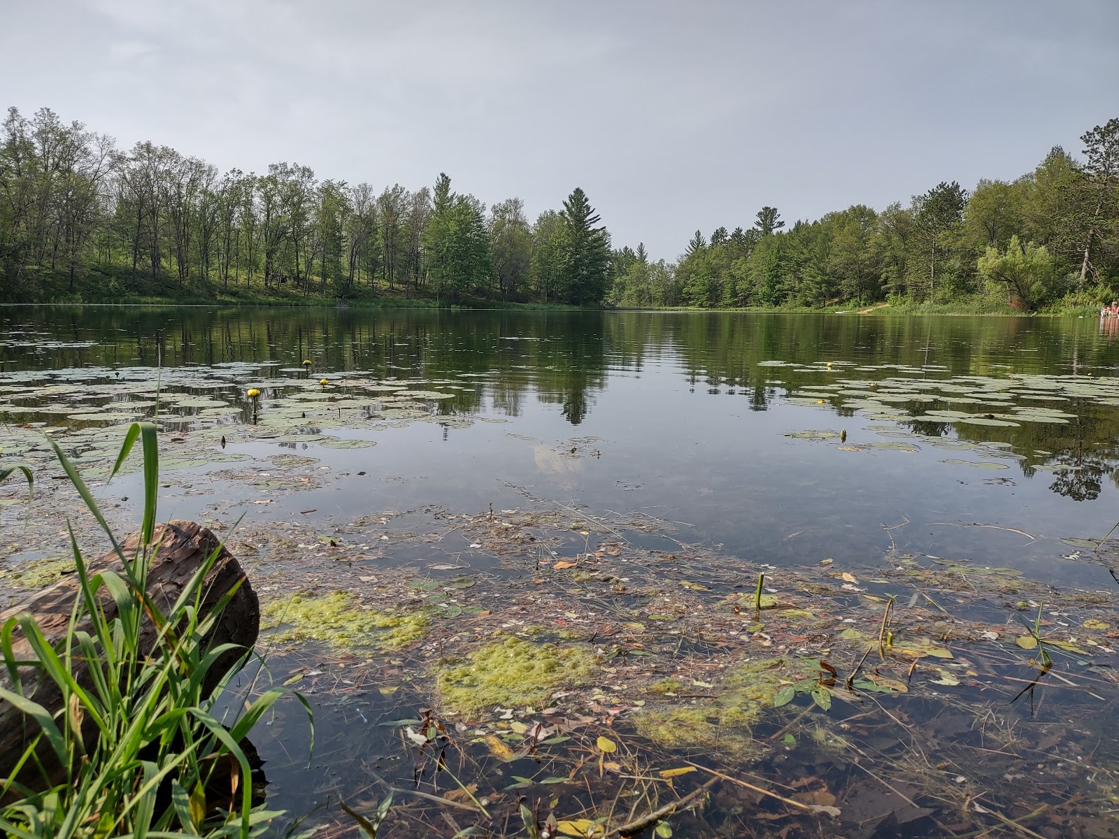 House Lake Campground