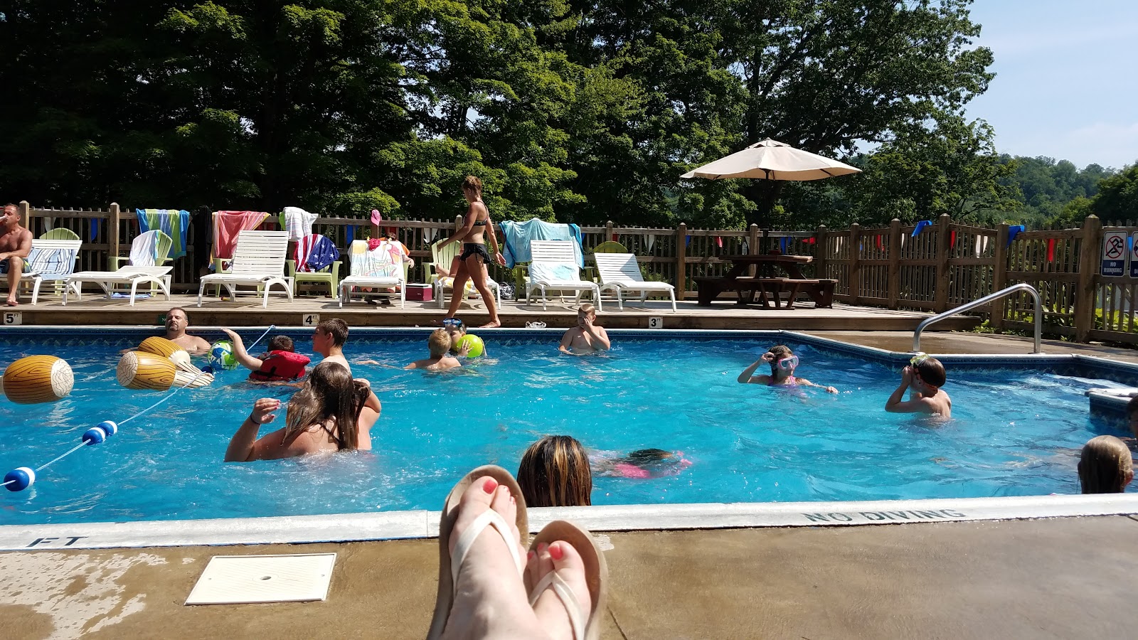 Shore Forest Campground