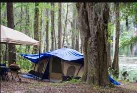 Suwannee River Campground