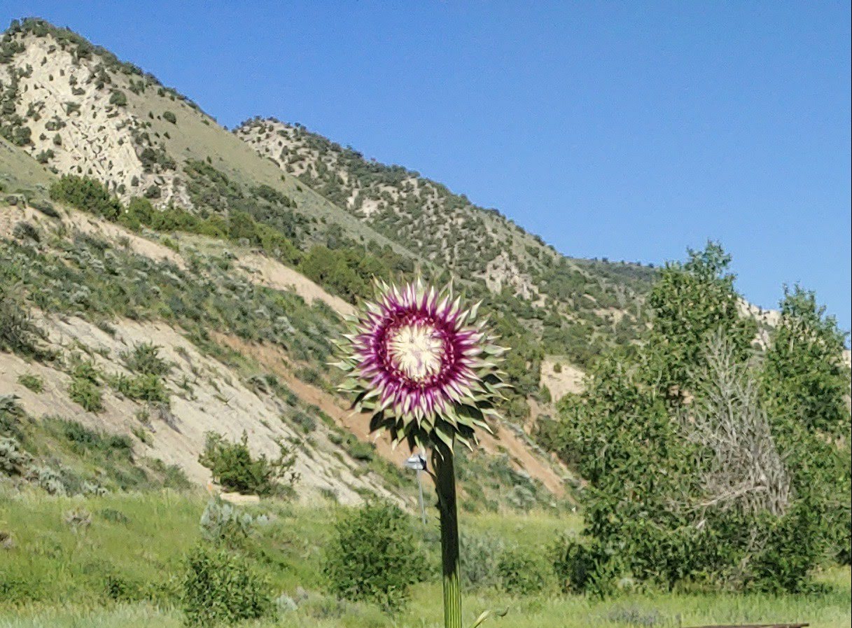 Cottonwoods River Camp