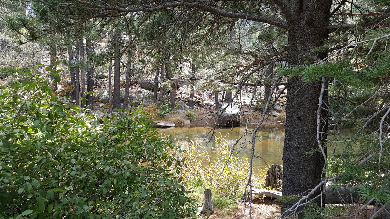 Kit Carson Campground