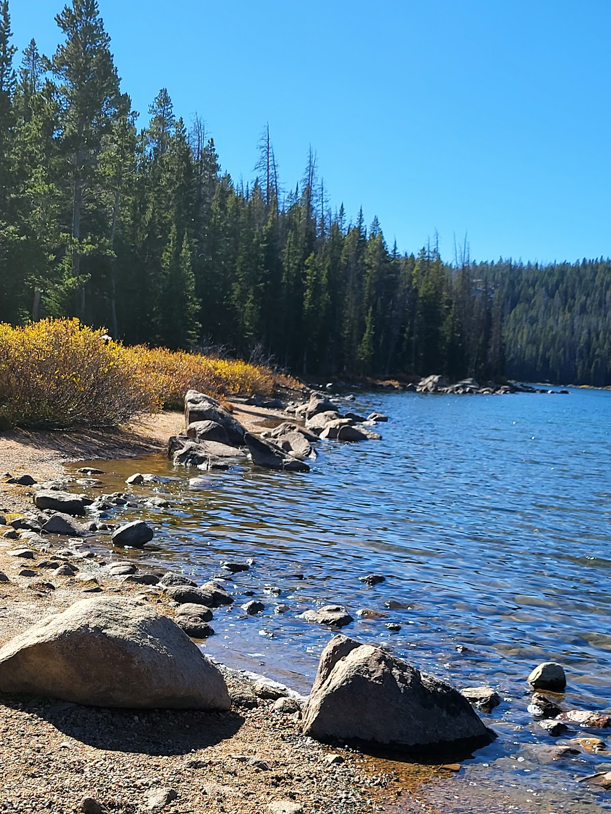 Beartooth Lake Campground