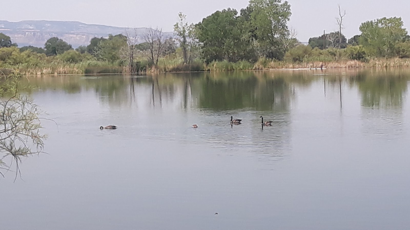 James M. Robb-Colorado River State Park