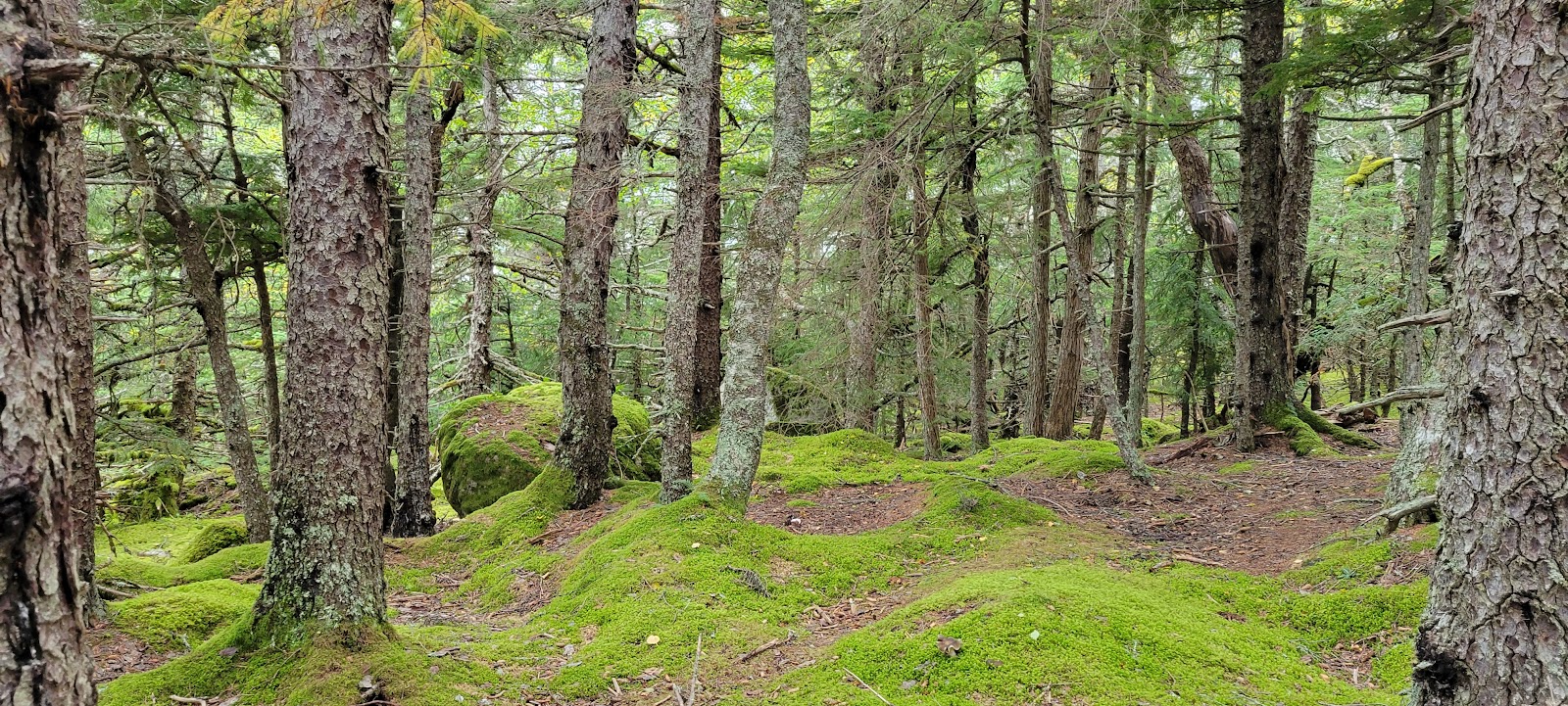 Portage Cove State Recreation Site