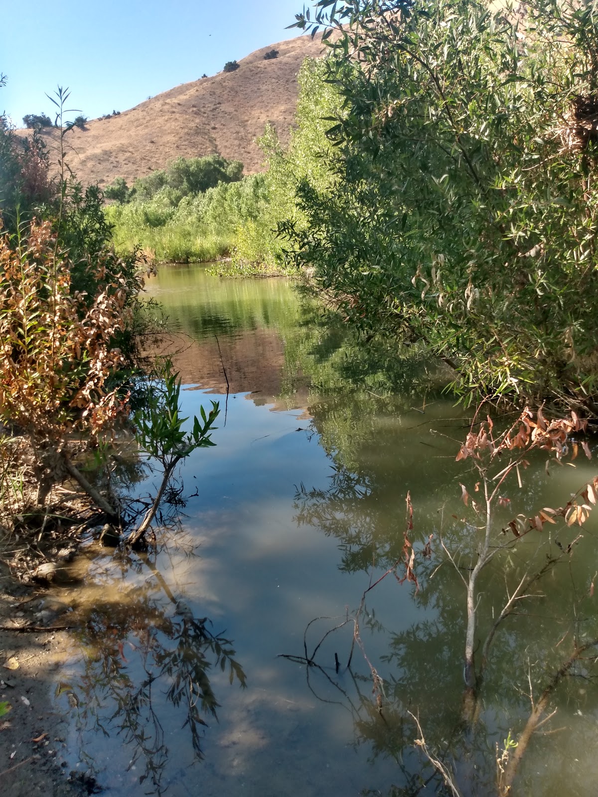 Los Prietos Campground