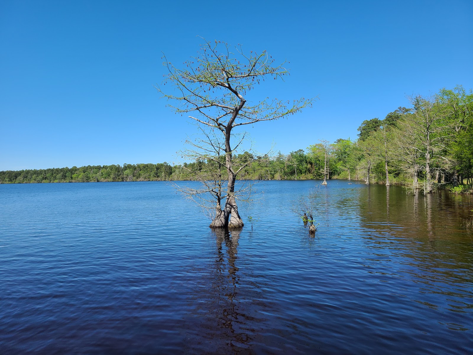Jones Lake State Park