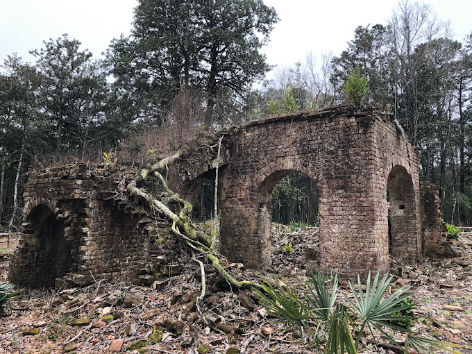 Santee Coastal Reserve
