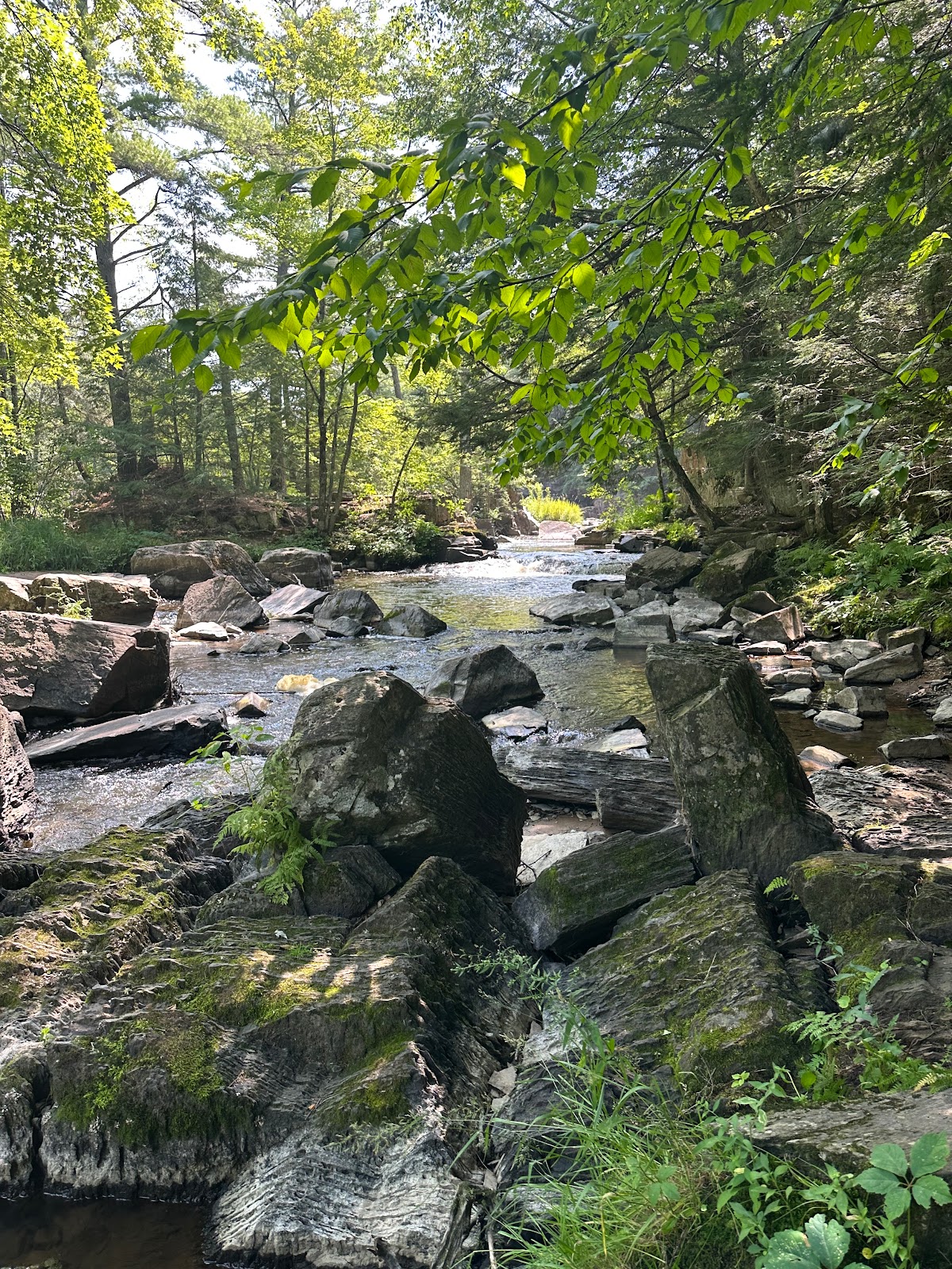 Dells of the Eau Claire Park