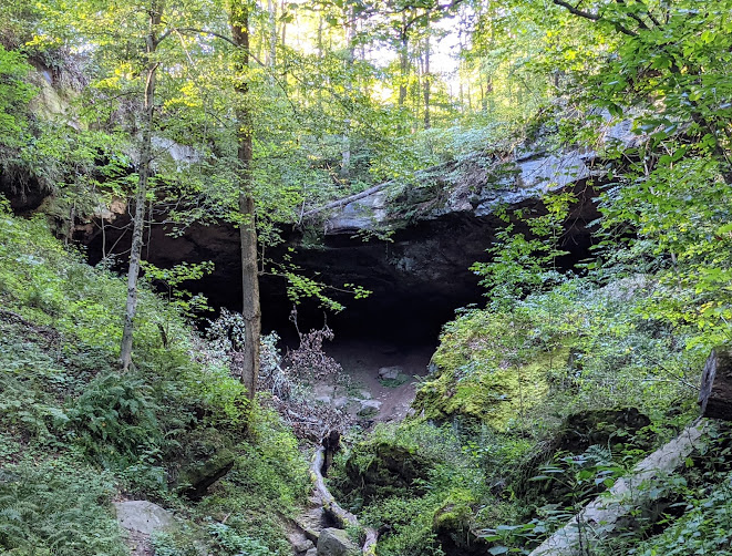 Salt Fork State Park