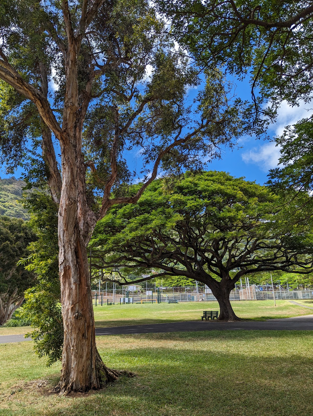 Manoa Valley District Park