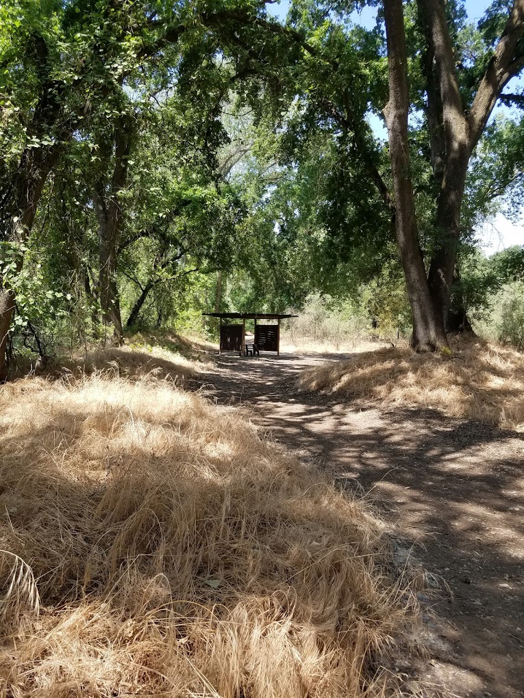 Valley Oak Recreation Area