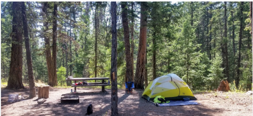 Jack's RV Park & Motel