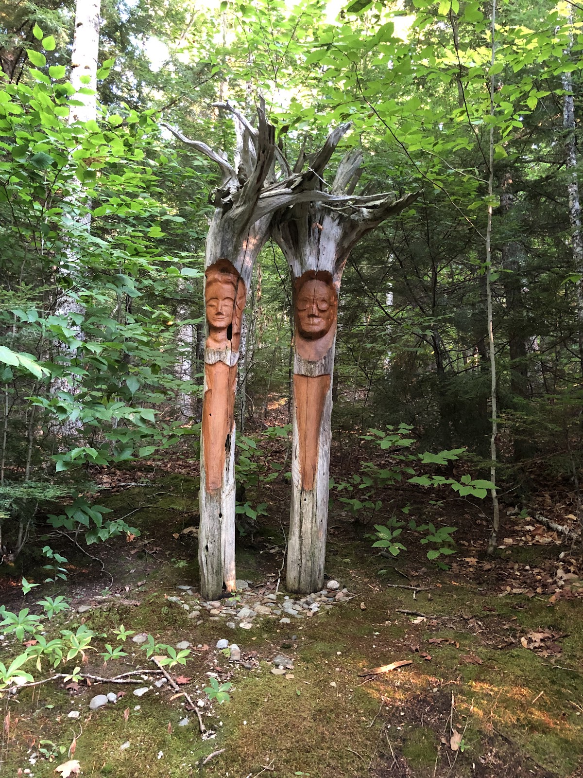 Pleasant Lake Camping Area