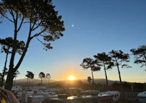 Pelican Point RV Park