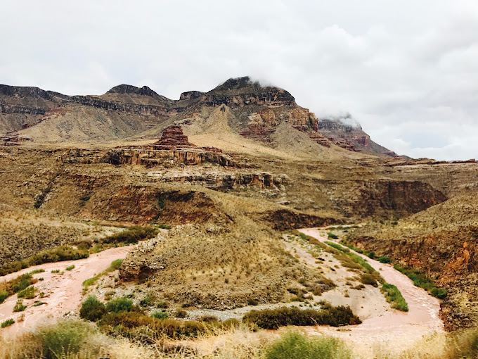 Beaver Dam Mountains Wilderness (Arizona)