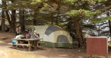 Bicentennial Park Campground