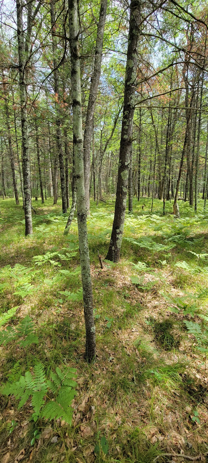 Claybanks Campground