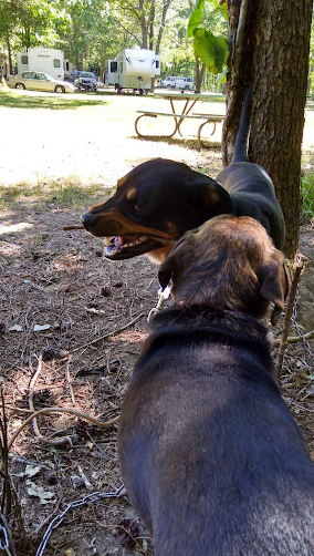 Apple Creek Campground