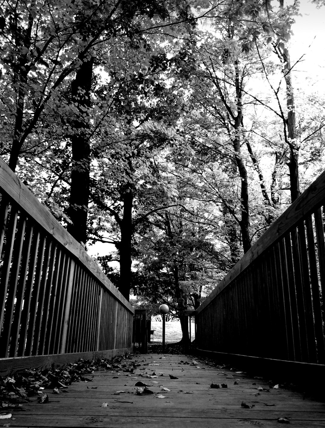 Westfield-Lake Erie KOA