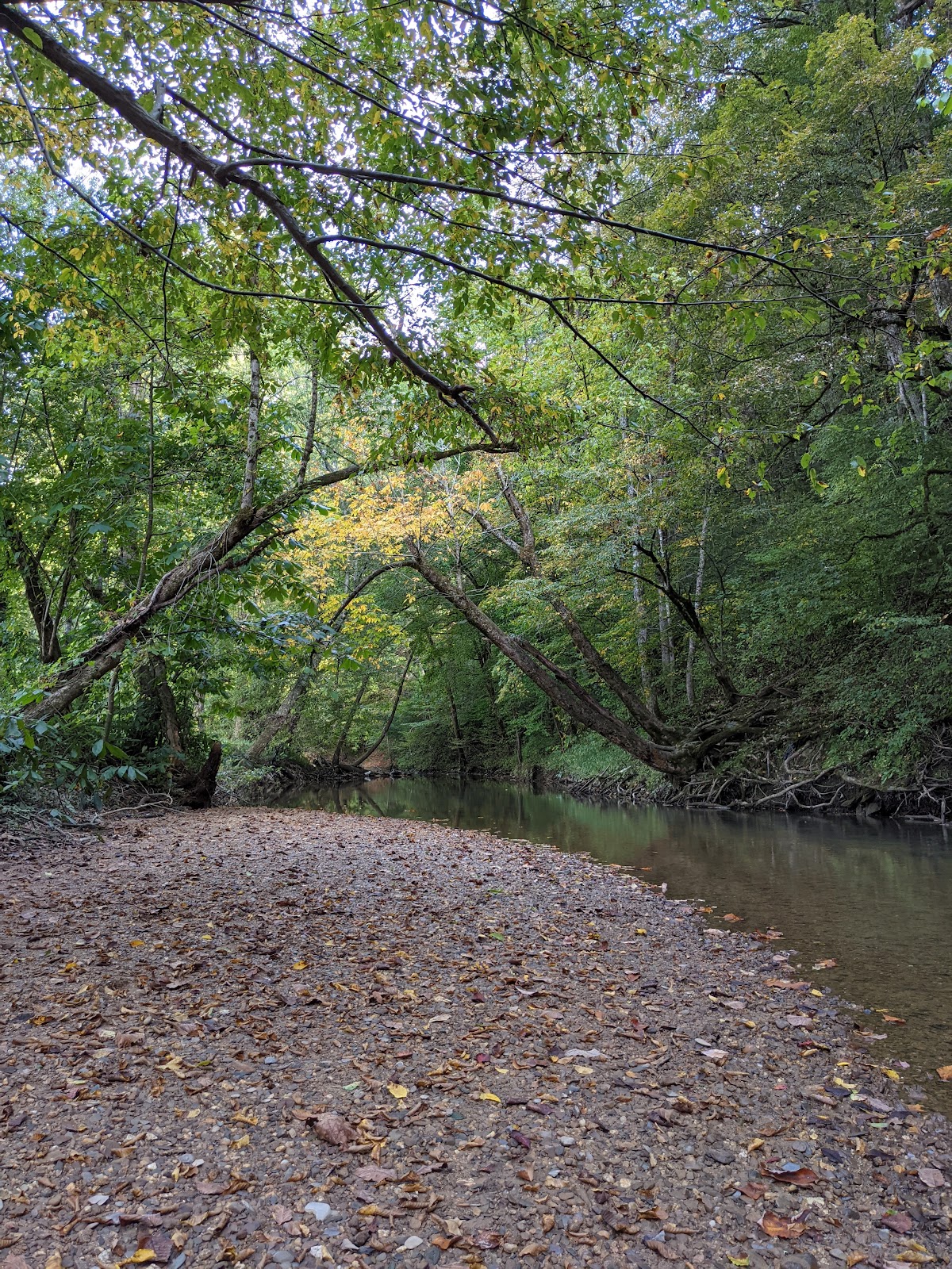 Kings Holly Haven RV Park