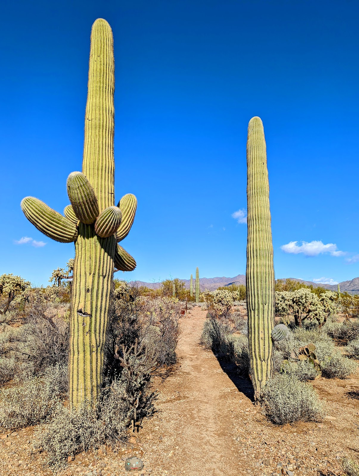 Justin's Diamond J RV Park