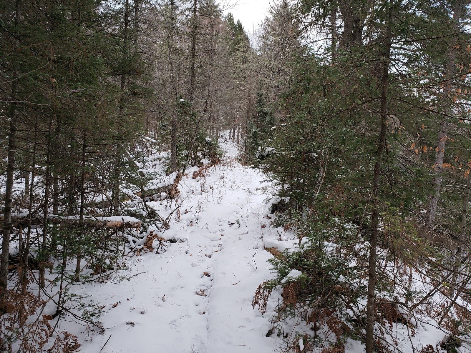 Sparrow Rapids NF Campground