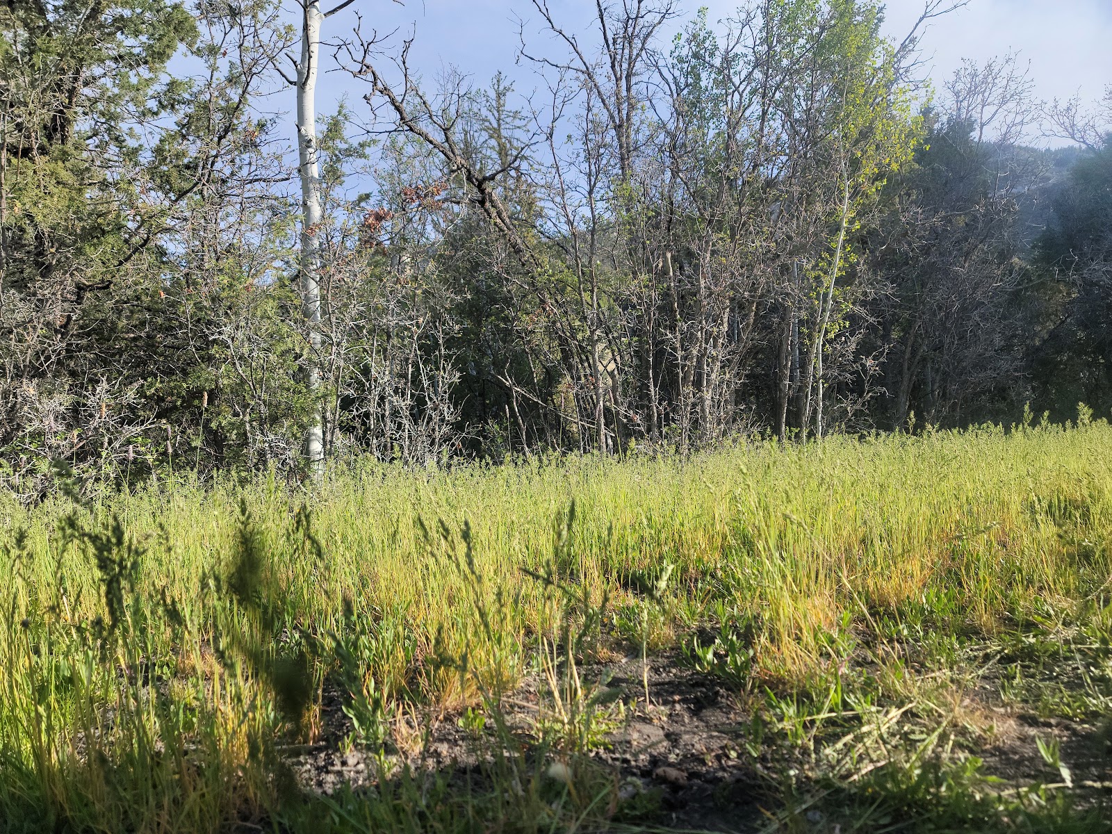 Manti Community Campground