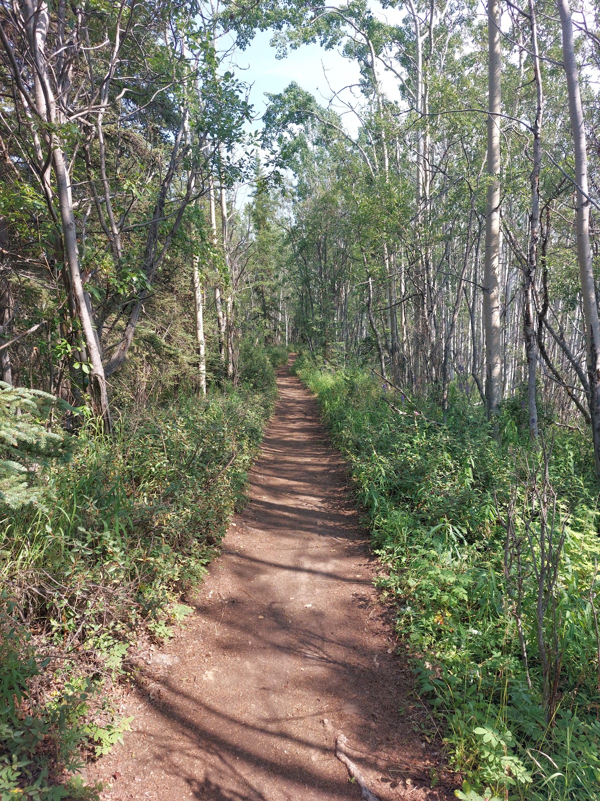 Matanuska Glacier State Recreational Site