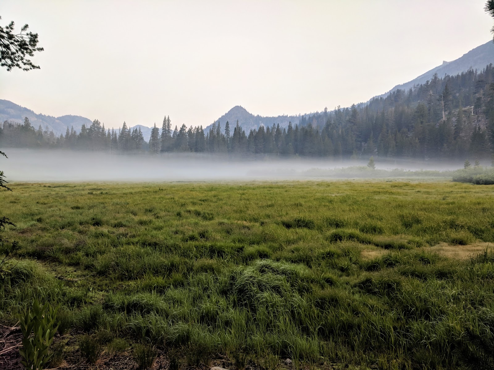 Agnew Meadows Campground