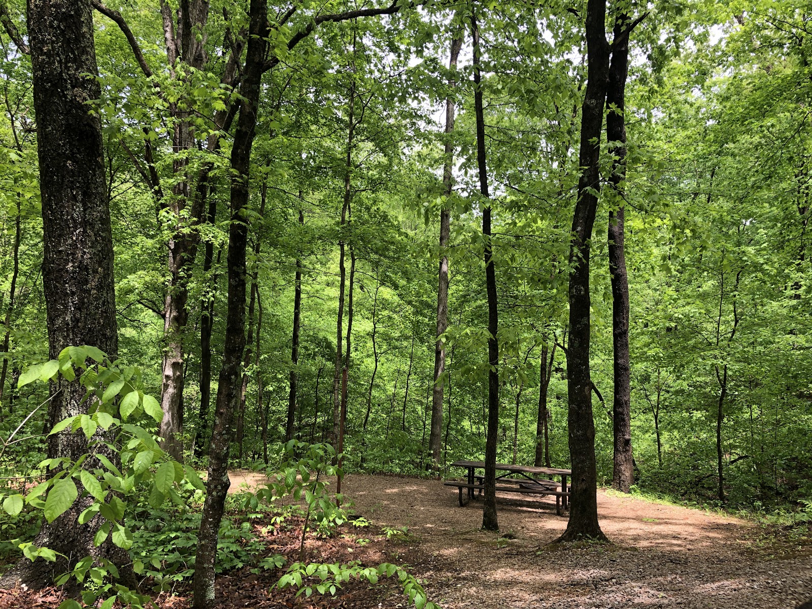Tipsaw Lake Recreation Area