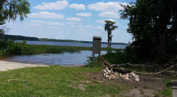 Osceola National Forest Hog Pen Landing Campground