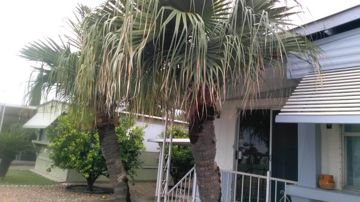 El Valle Del Sol RV Resort