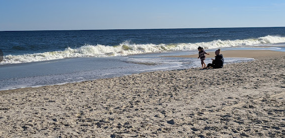 Carolina Beach State Park Campground