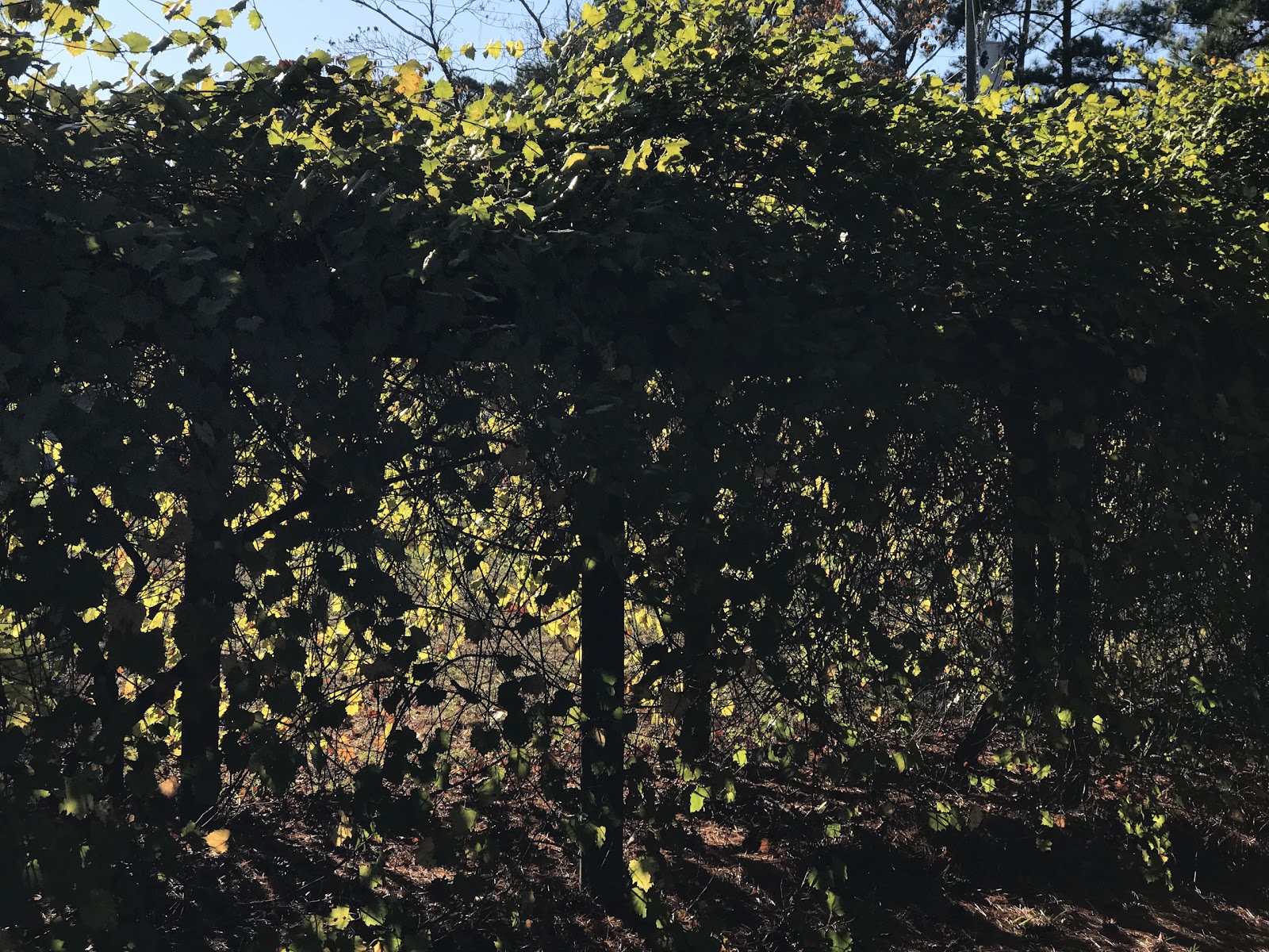 Spring Valley RV Campground