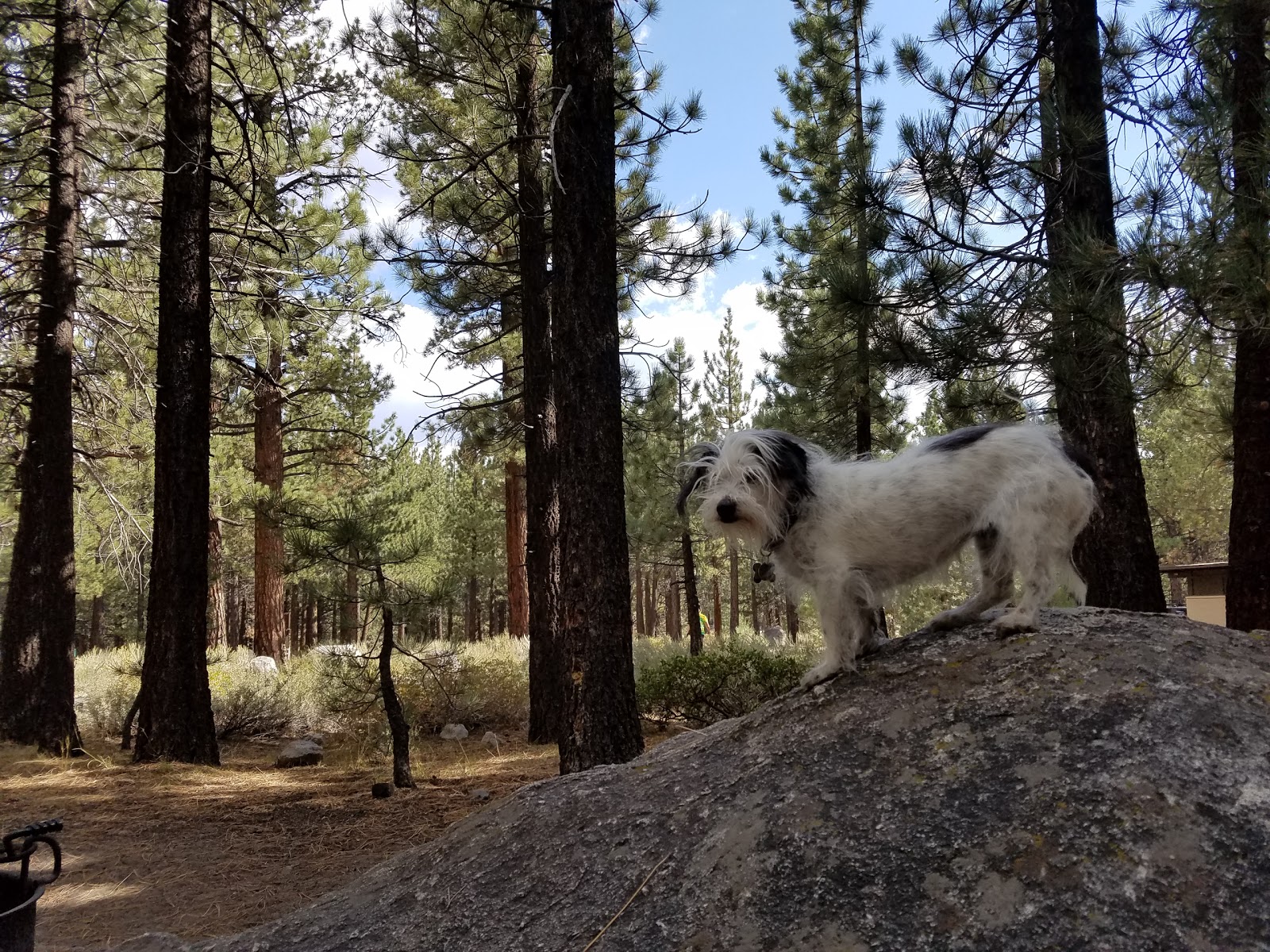 Agnew Meadows Campground
