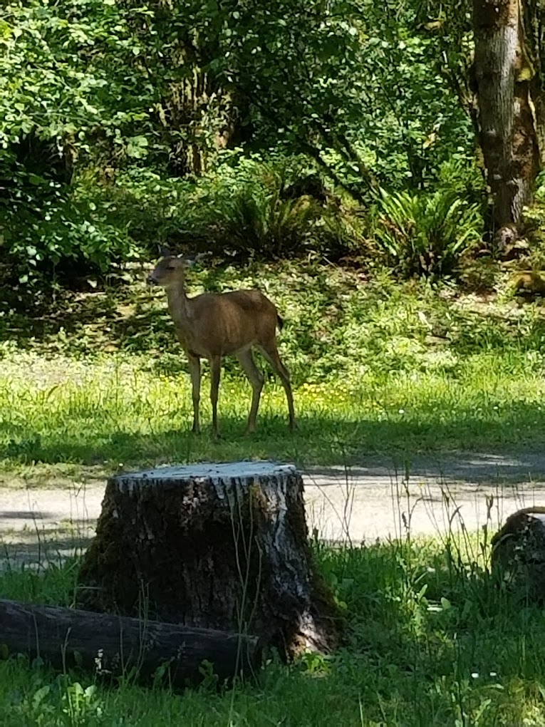 Barrier Dam Campgrounds