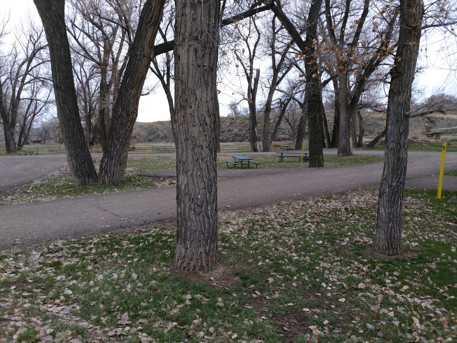 Buck N Bull RV Park & Campground