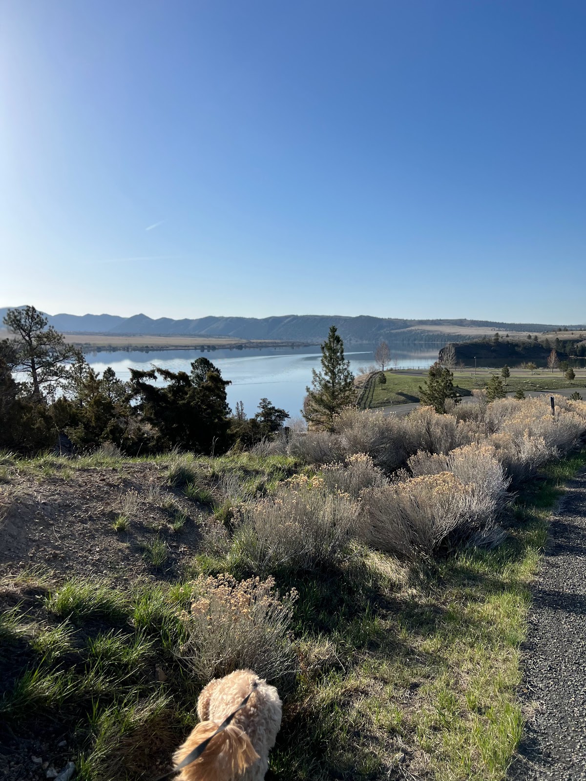 Grey Sandy Campground & Store