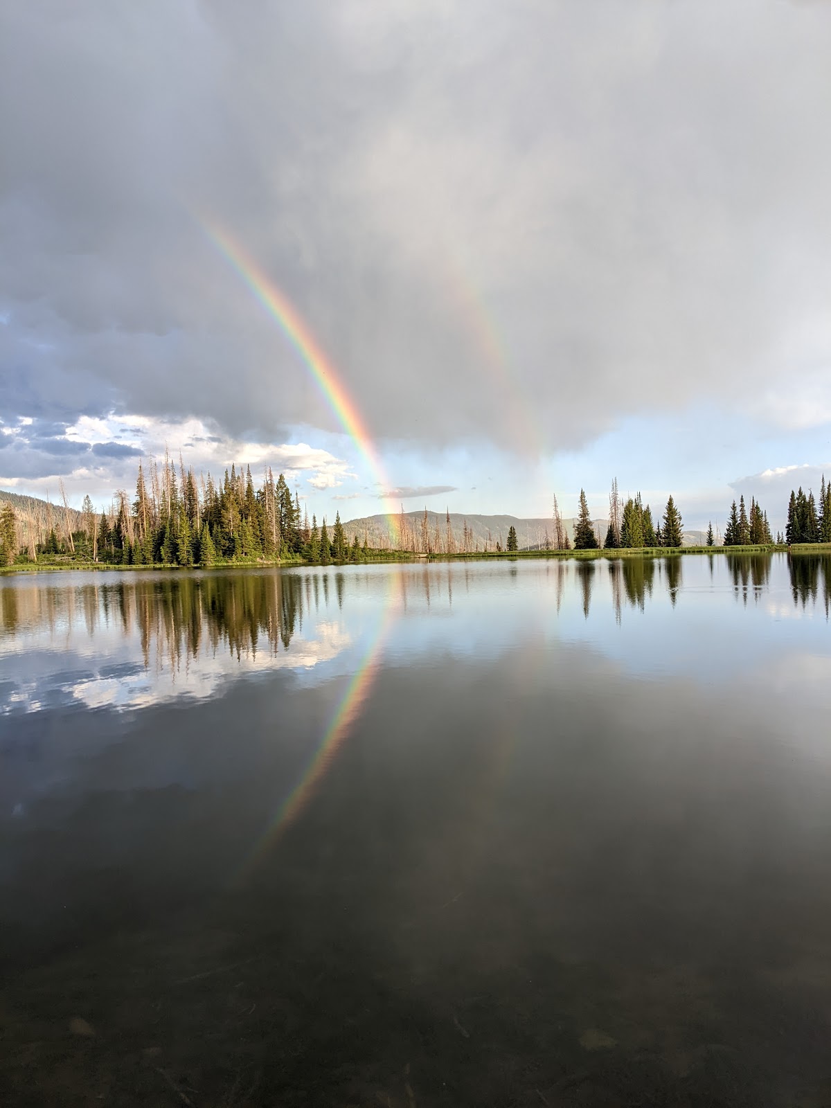 Potters Pond Campground