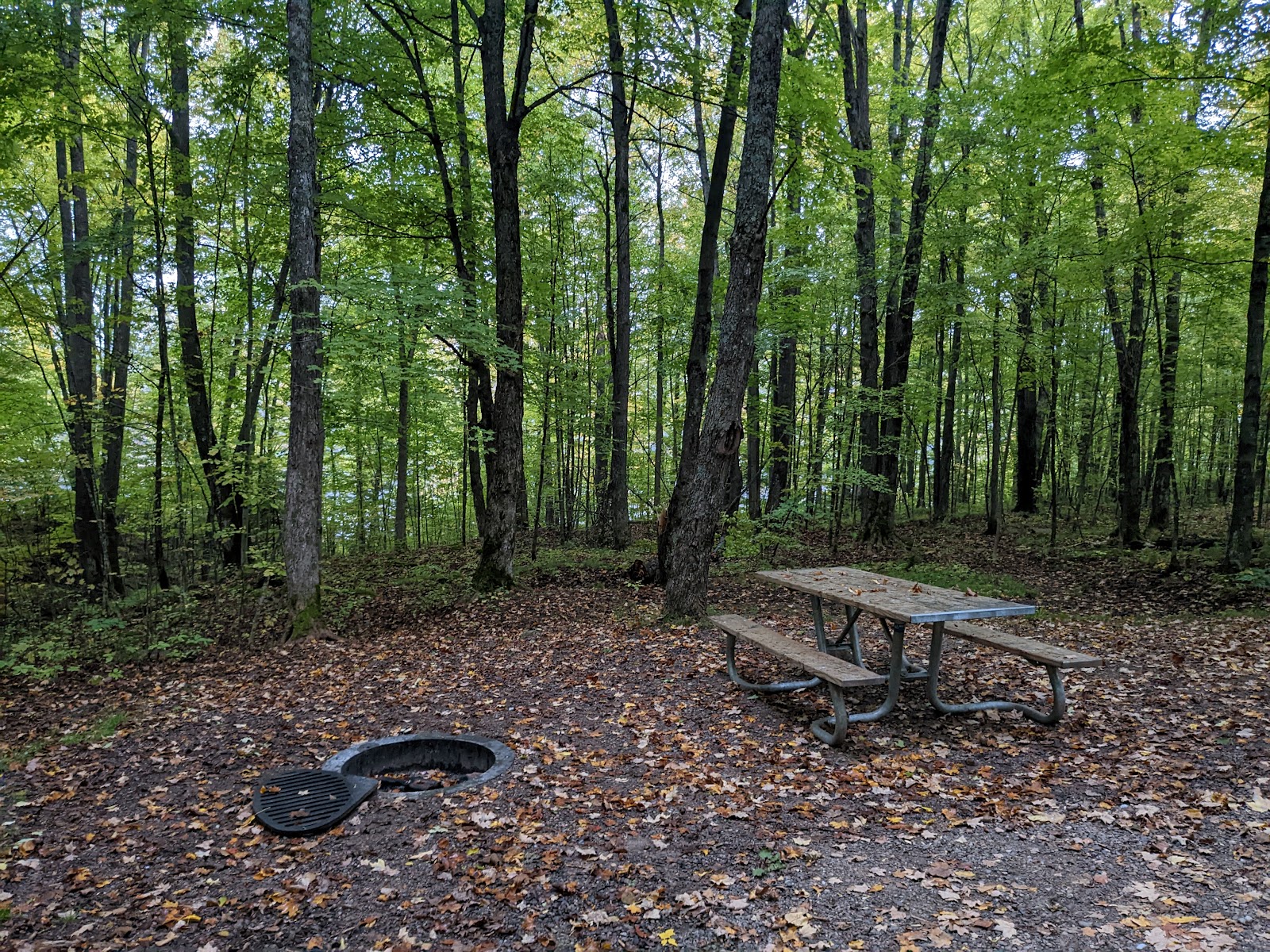 Eastwood NF Campground