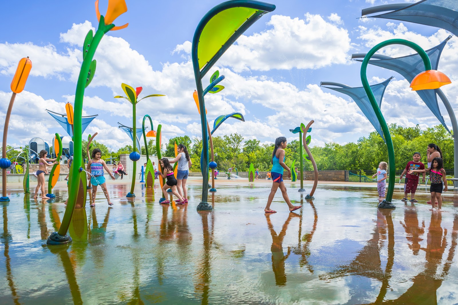 Central Park East Woods